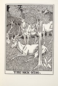 Hasta Geyik, Fontaine Fables, pub