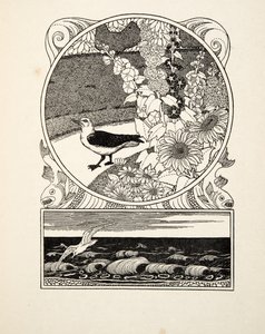 Hayvanların Yüz Anekdotundan Uysal Martı, pub. 1924 (gravür) by Percy J. Billingshurst