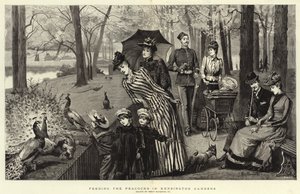 Kensington Bahçelerinde Tavus Kuşlarını Beslemek (gravür) by Percy Macquoid
