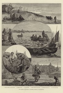Balıkçılık Endüstrilerimiz: Eastbourne