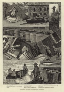 Balıkçılık Endüstrilerimiz: Cornwall