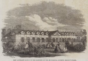 Regent