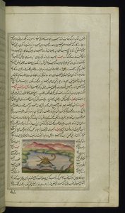 Bir kaplumbağa, Lights of Canopus
