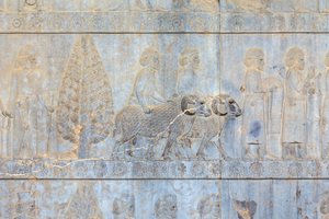 Apadana sarayı ve merdiven duvarlarındaki alçak kabartmalar, Persepolis, İran (kumtaşı) by Persian School