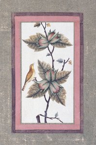 Kuş ve Çiçek Çalışması, c.1780