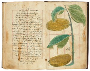Hassan Bin Baqir Bin Jarrah: Ghalzar Al-Raihain, Qajar Iran by Persian School