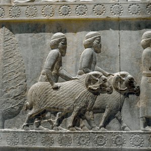 Soğdlular I. Darius