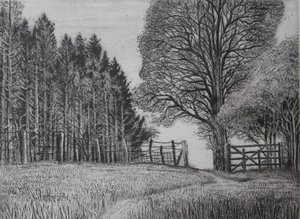  by Peter A Ford