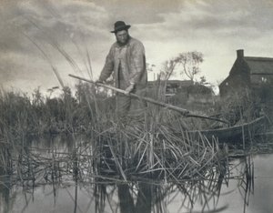 Bataklıklardan Eve Dönüş, Norfolk Broads