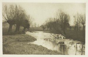 Lea Nehri Üzerinde Bir Arka Su by Peter Henry Emerson