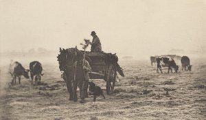 Soğuk Bir Sabah by Peter Henry Emerson
