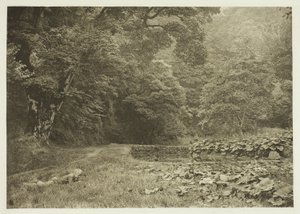 Beresford Dale