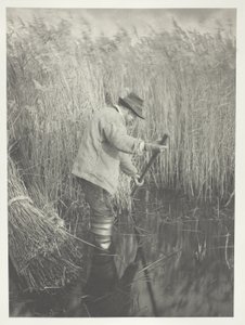  by Peter Henry Emerson