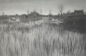aceleci bir kıyı by Peter Henry Emerson