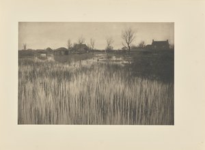 Aceleci Bir Kıyı by Peter Henry Emerson