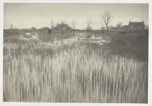 Aceleci Bir Kıyı by Peter Henry Emerson