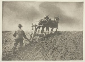 Sert Bir Çekme, (Suffolk) by Peter Henry Emerson