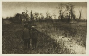 Yoldaki Bir Kurbağa: Norfolk