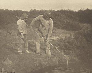 Yılan Balığı  Suffolk Sularında Toplama by Peter Henry Emerson