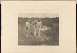 Yılan Balığı  Suffolk Sularında Toplama by Peter Henry Emerson