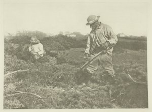 Bir Suffolk Ortak üzerinde Furze-Kesme by Peter Henry Emerson