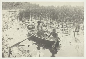 Nilüfer Toplama by Peter Henry Emerson
