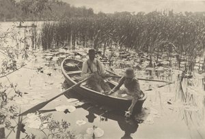 Nilüferleri Toplamak by Peter Henry Emerson