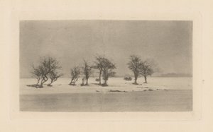 Boğumlu Dikenli Ağaçlar by Peter Henry Emerson