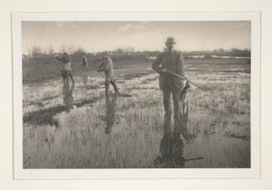 Bataklıkta Avlanan Adamlar by Peter Henry Emerson