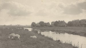 Bure Nehri üzerinde,1886 (fotoğraf) by Peter Henry Emerson
