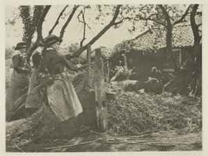 Hasır Soyma (Norfolk) by Peter Henry Emerson