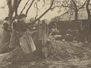 OsierPeeling. [Norfolk]]. by Peter Henry Emerson