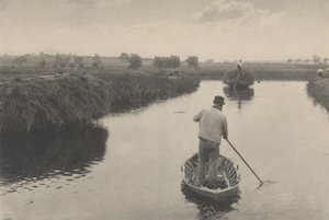 Marsh Hay