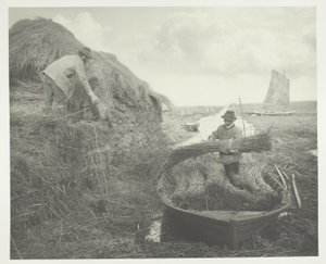 Resifi sallamak by Peter Henry Emerson