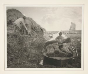 resifi sallamak by Peter Henry Emerson