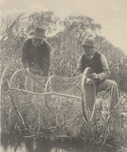 Bow-Net