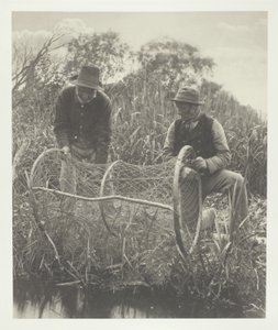 Yay Ağının Kurulumu by Peter Henry Emerson
