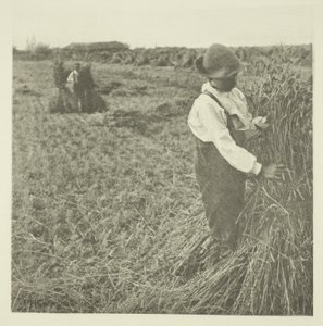Şok Mısır (Norfolk) by Peter Henry Emerson