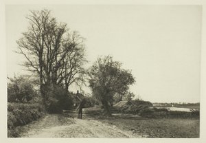 Geniş Çiftlik (Norfolk) by Peter Henry Emerson