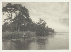 Pike