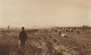 Haziran ayında Bataklıklar by Peter Henry Emerson