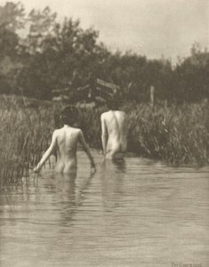 Su Bebekleri by Peter Henry Emerson