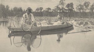 Bow-Net