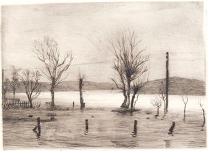 Tyreholm