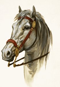 Tanımlanamayan at by Peter Jackson