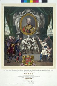  by Peter Johann Nepomuk Geiger