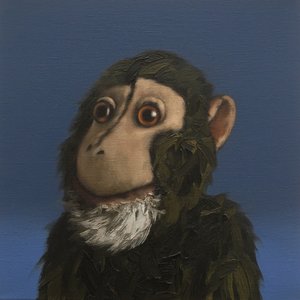 Andy Maymun, 2017