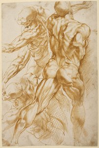  by Peter Paul Rubens