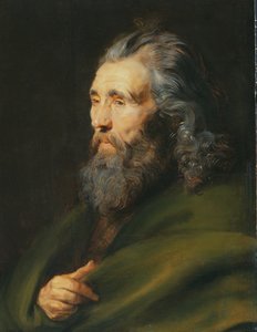 Sakallı Bir Adamın Baş İncelemesi, c.1617 by Peter Paul Rubens