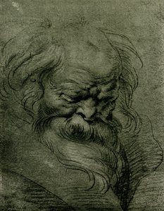 Bacchus için kafa çalışması by Peter Paul Rubens